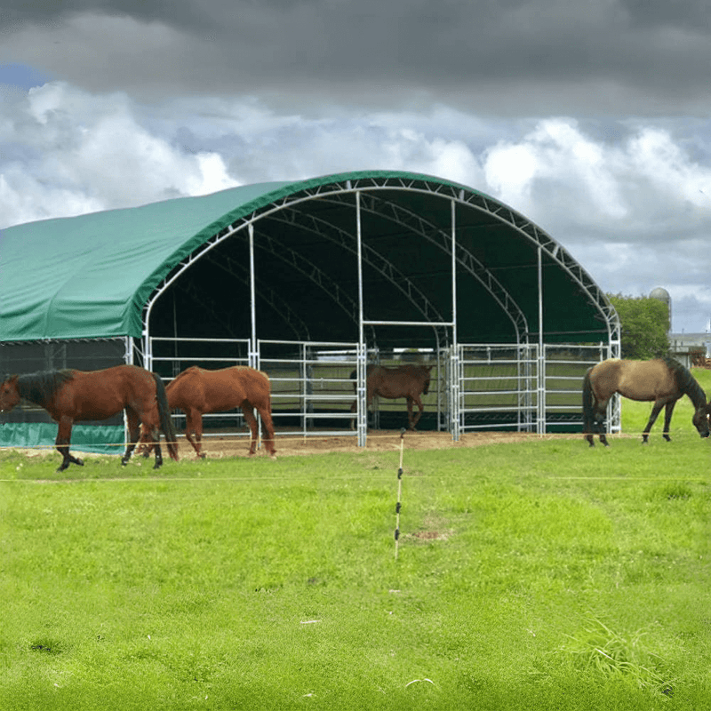 20' x 20' Livestock Corral Shelter with front door